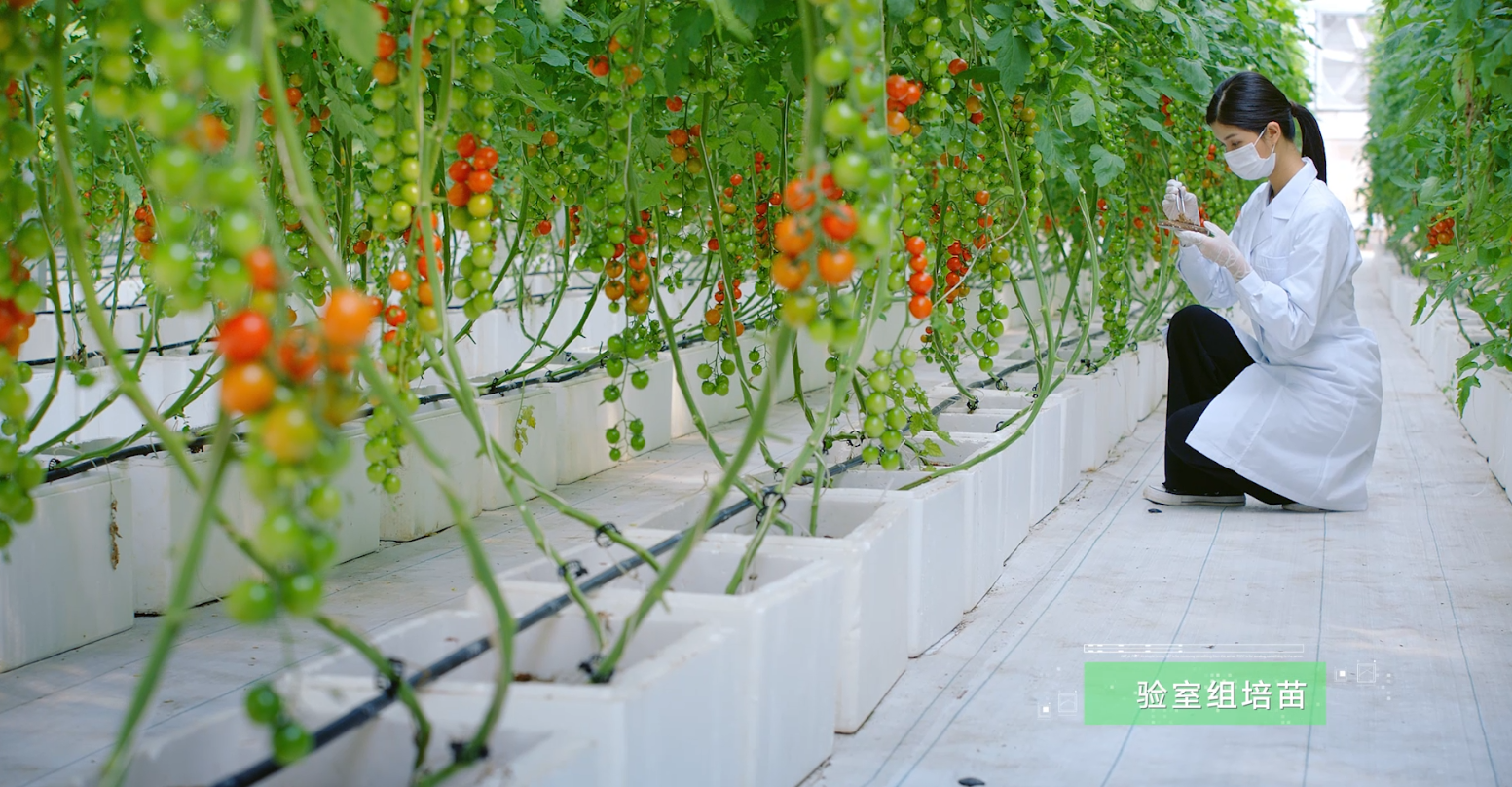 国产日韩精品欧美一区喷