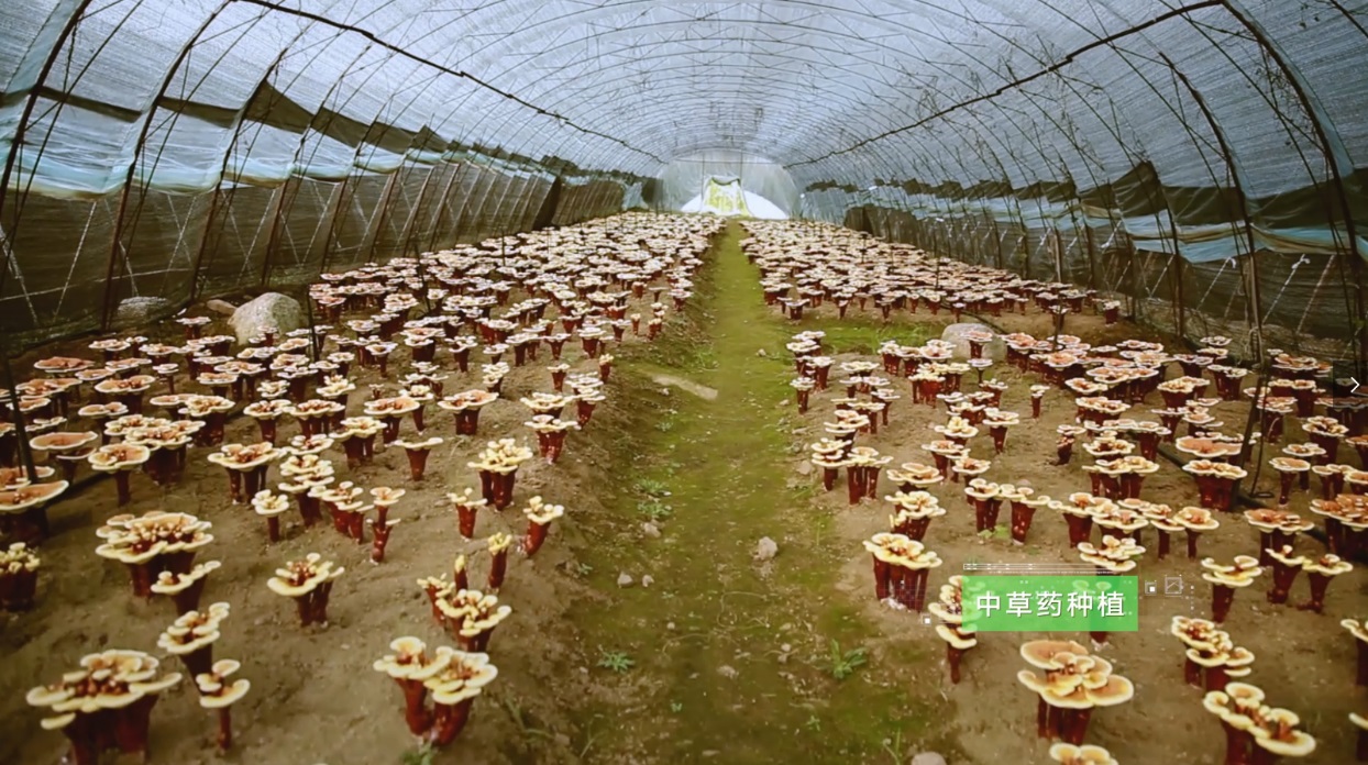 国产日韩精品欧美一区喷