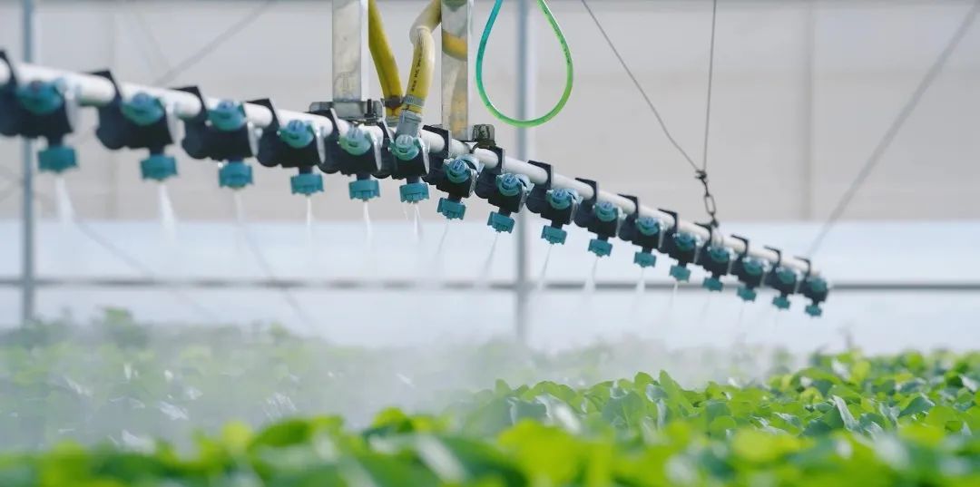 国产日韩精品欧美一区喷