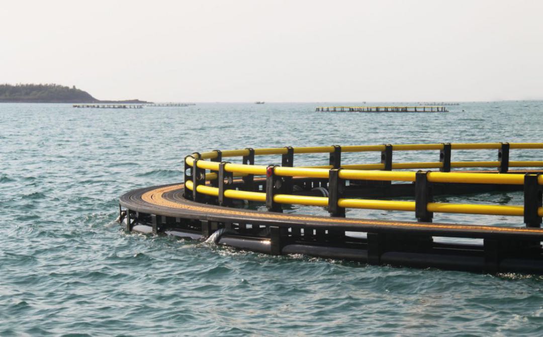 国产日韩精品欧美一区喷